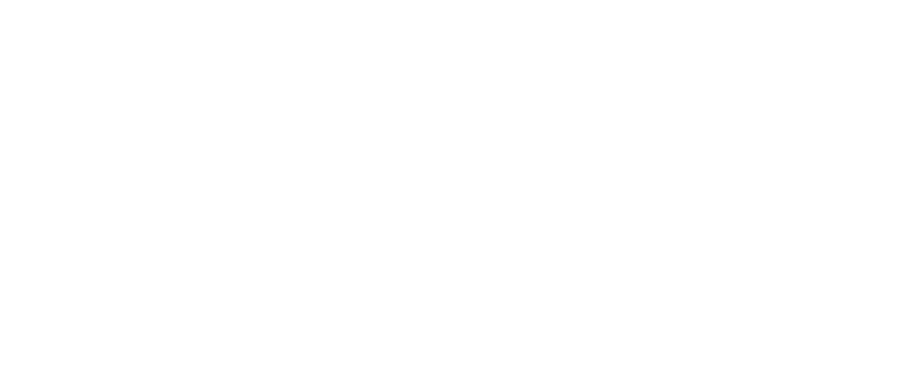 VizArch Tales LogoText